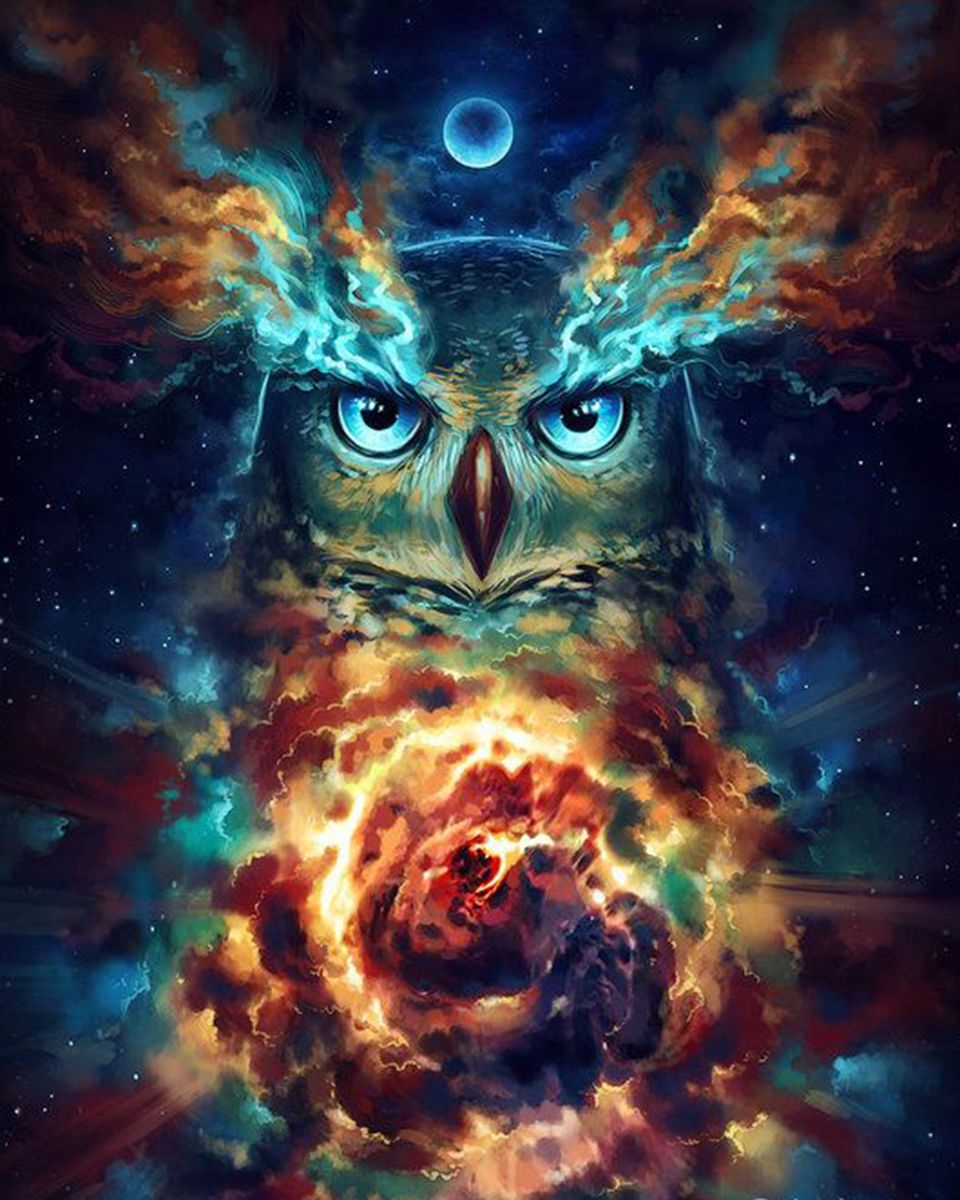 Алмазная мозаика 40x50 Огненная сова (ZM-2341)