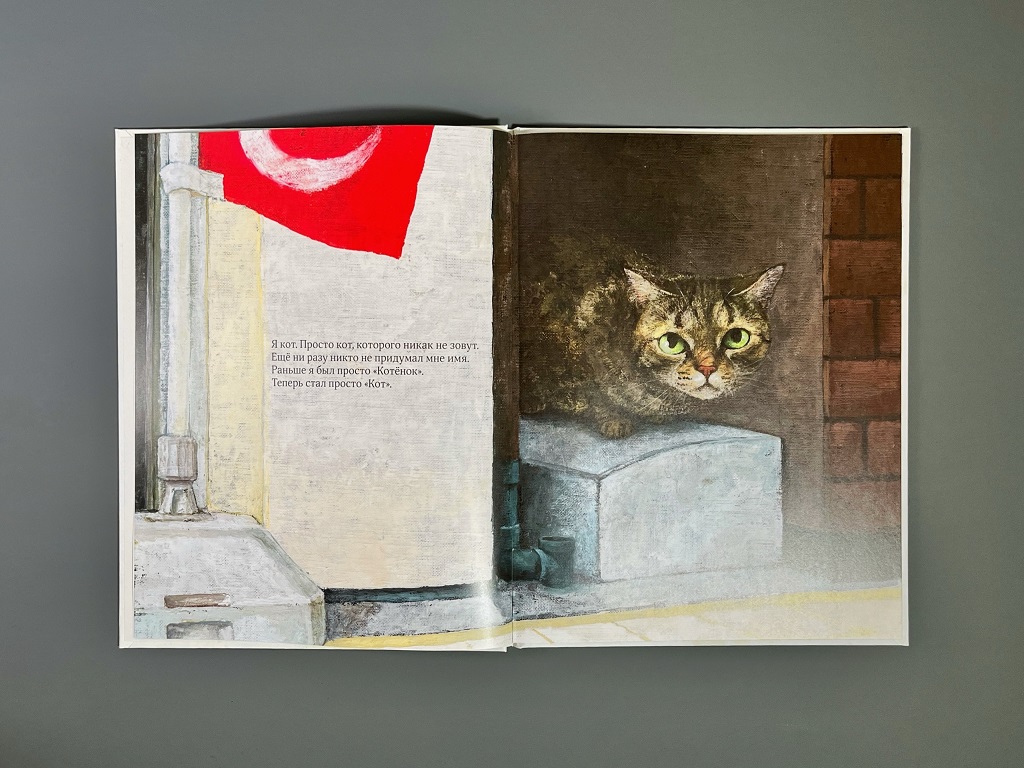 Кот без имени