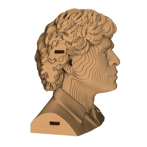 3D конструктор Марадона