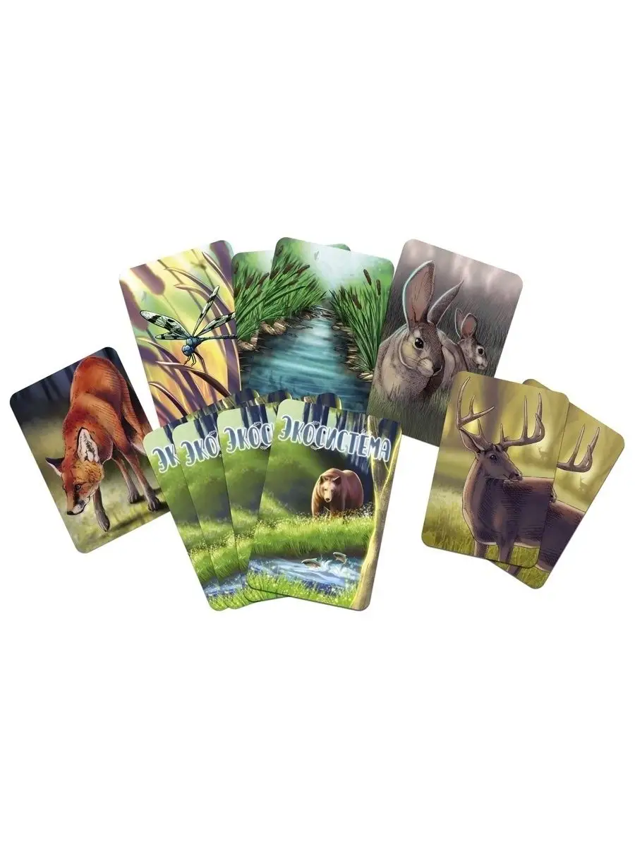 Настольная игра Экосистема