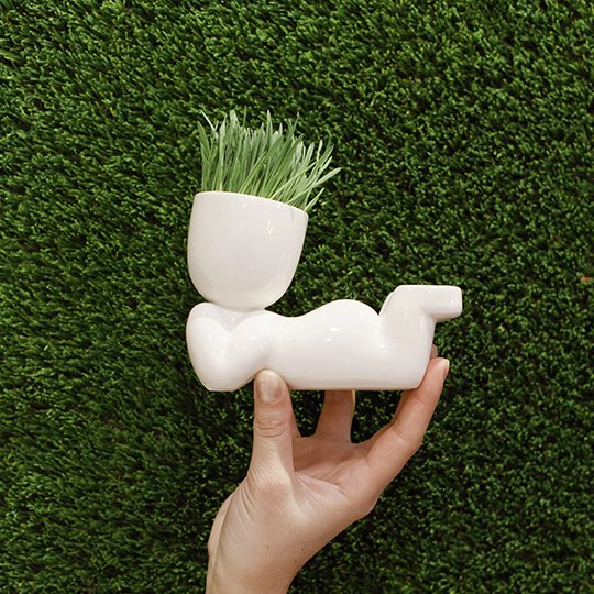 Экочеловек Мечтатель 