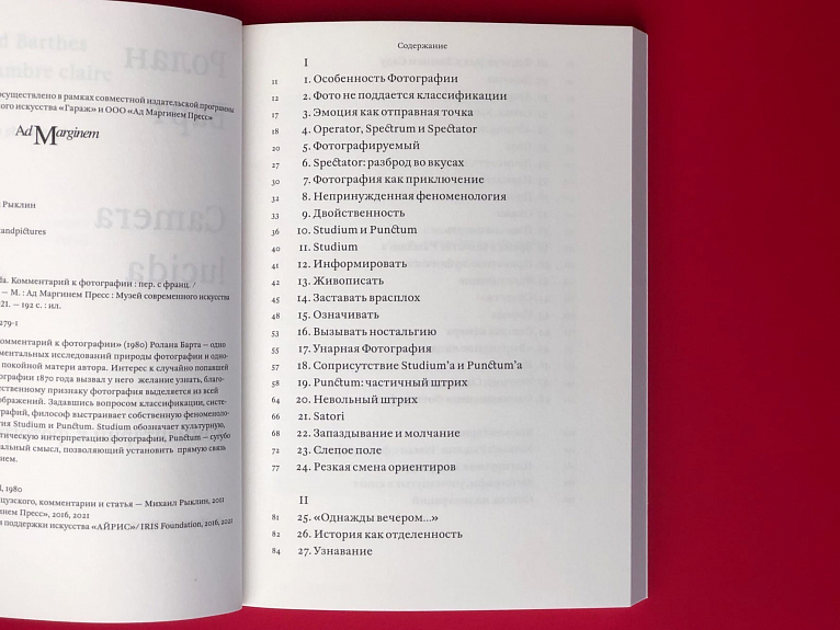 Camera Lucida. Комментарий к фотографии