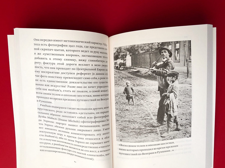 Camera Lucida. Комментарий к фотографии