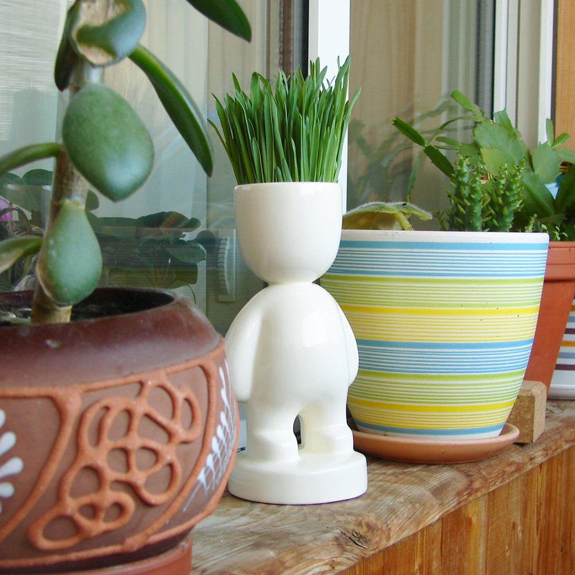 Экочеловек Коротыш