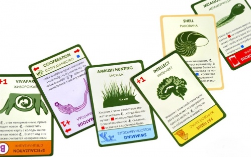 Настольная игра Эволюция  Дополнение Время летать