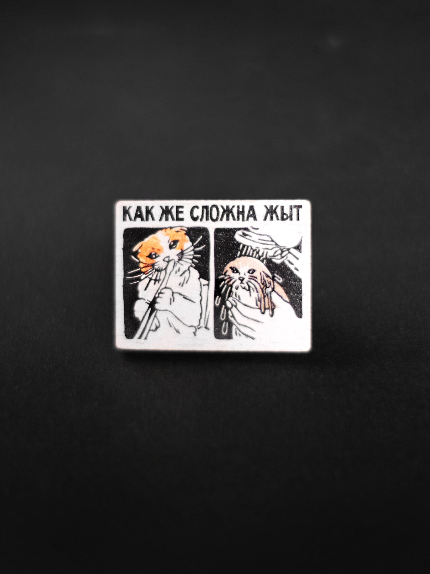 Значок Как сложна жыт