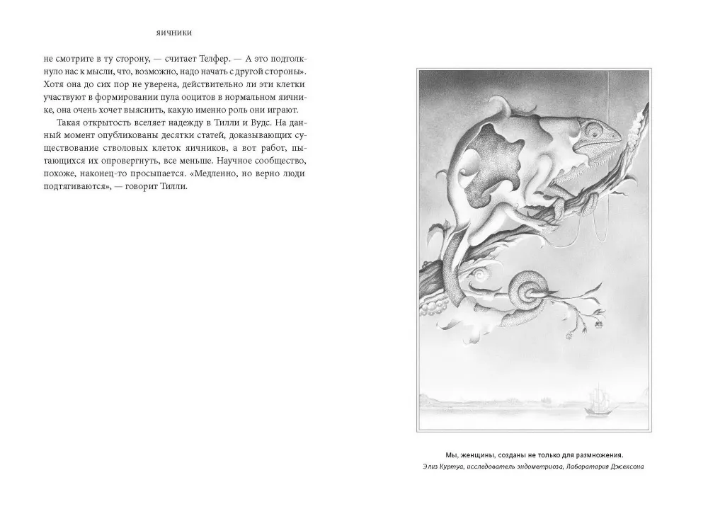 VAGINA OBSCURA. Анатомическое путешествие по женскому телу