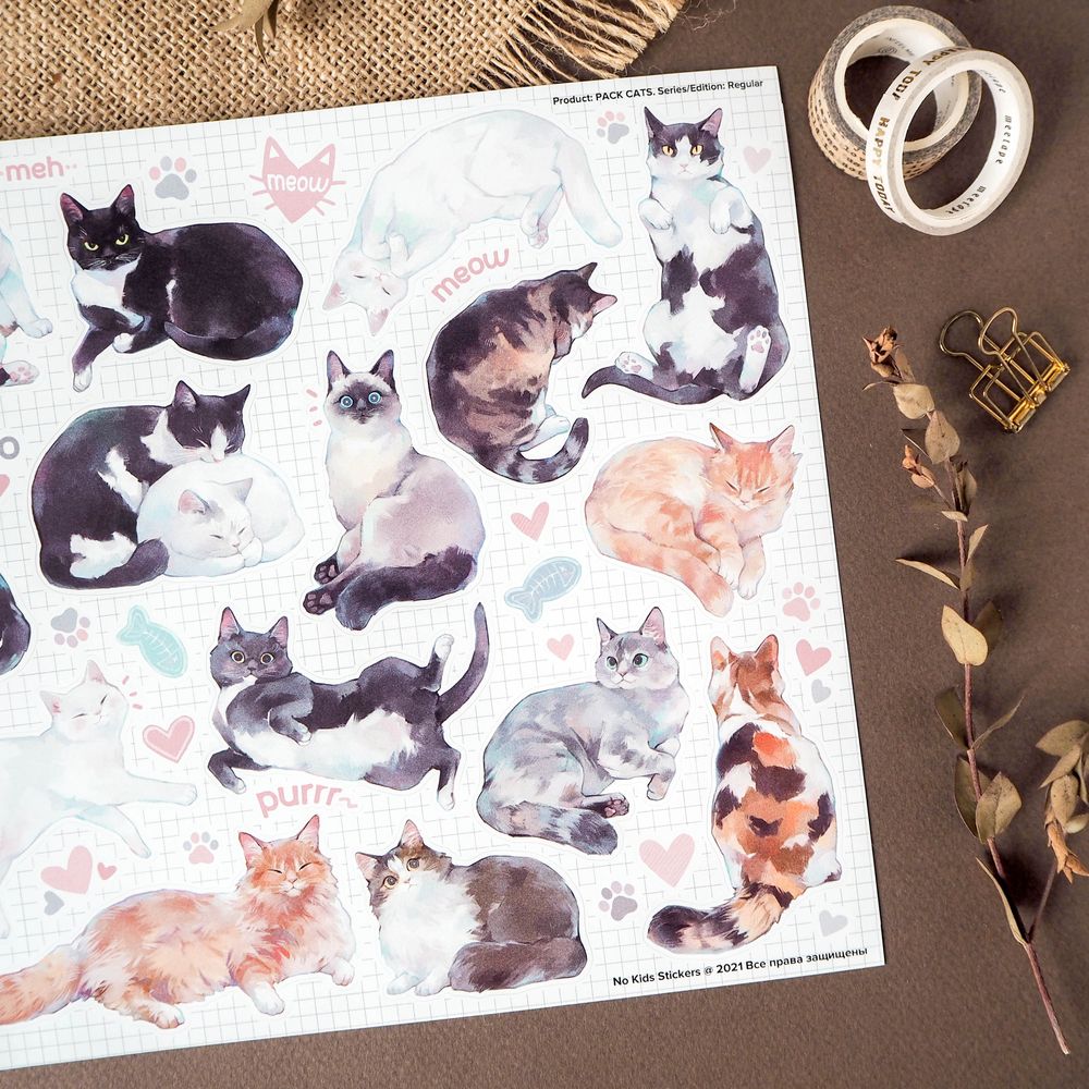Пак Cats 21