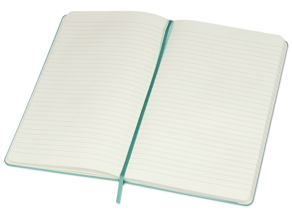 Записная книжка Classic (в линейку) Large бирюзовый