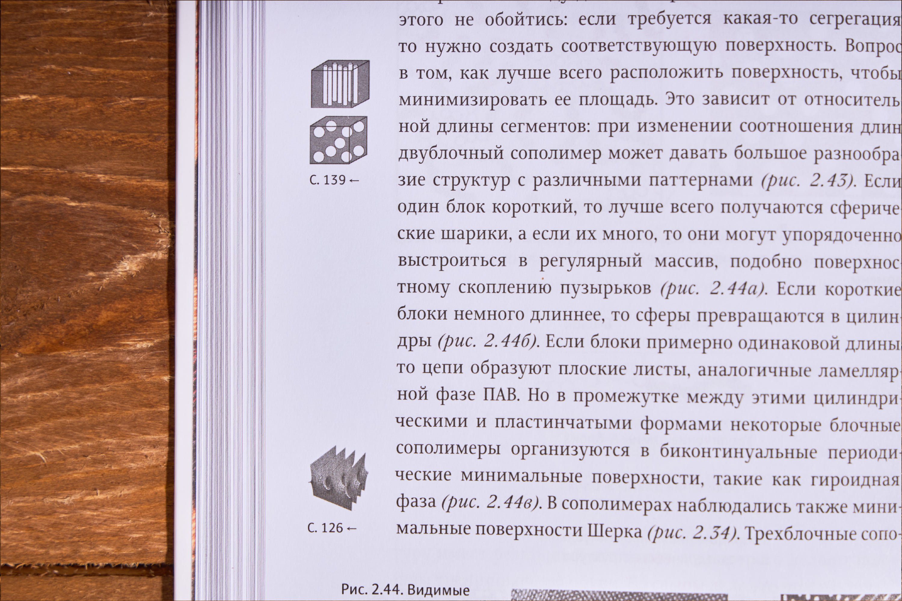 Закономерности в природе: самотканый ковер. Формы