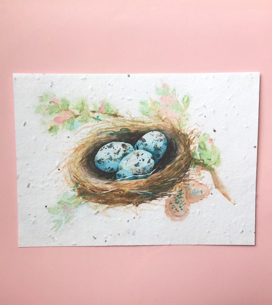 Растущая открытка Гнёздышко