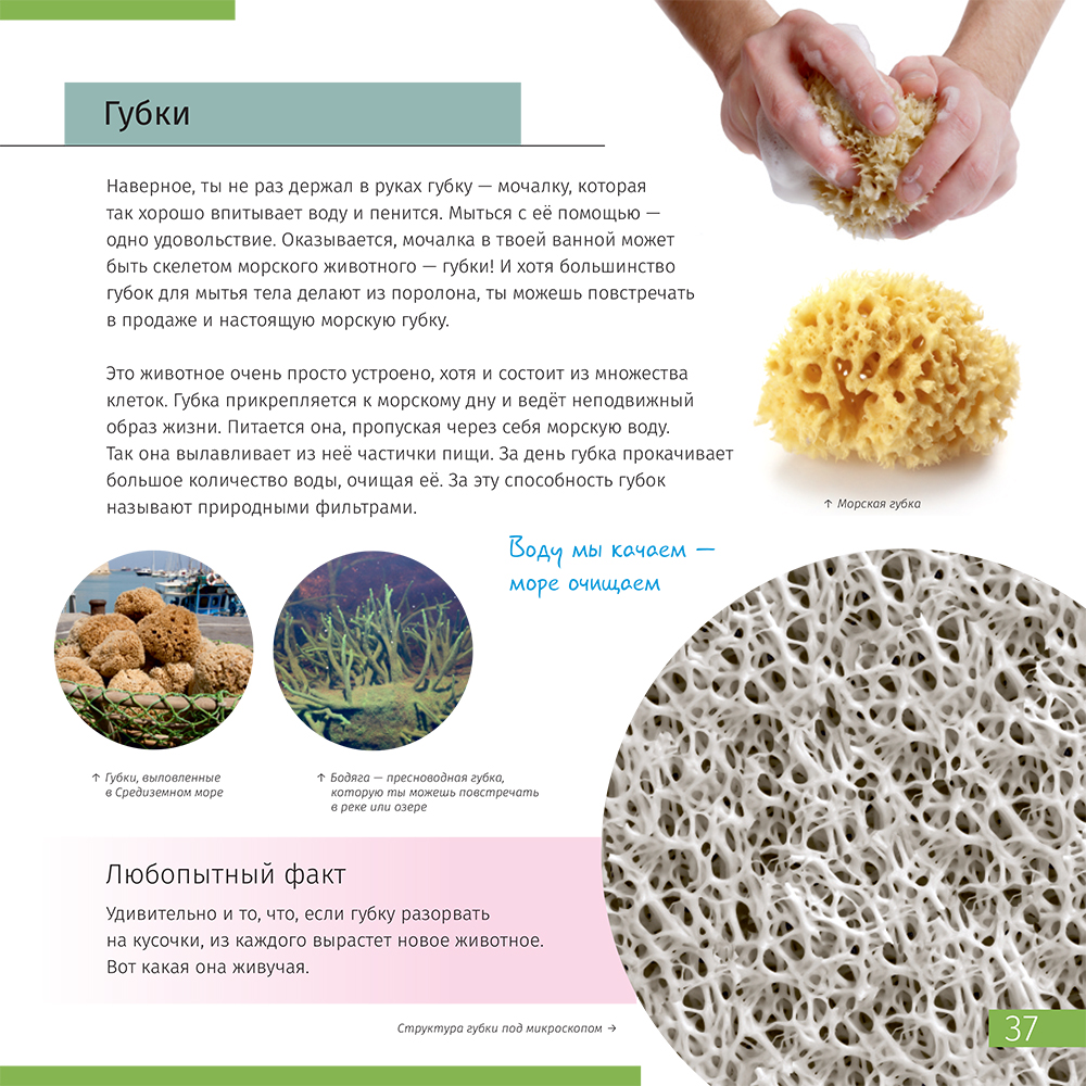 Книга знаний Невидимый мир