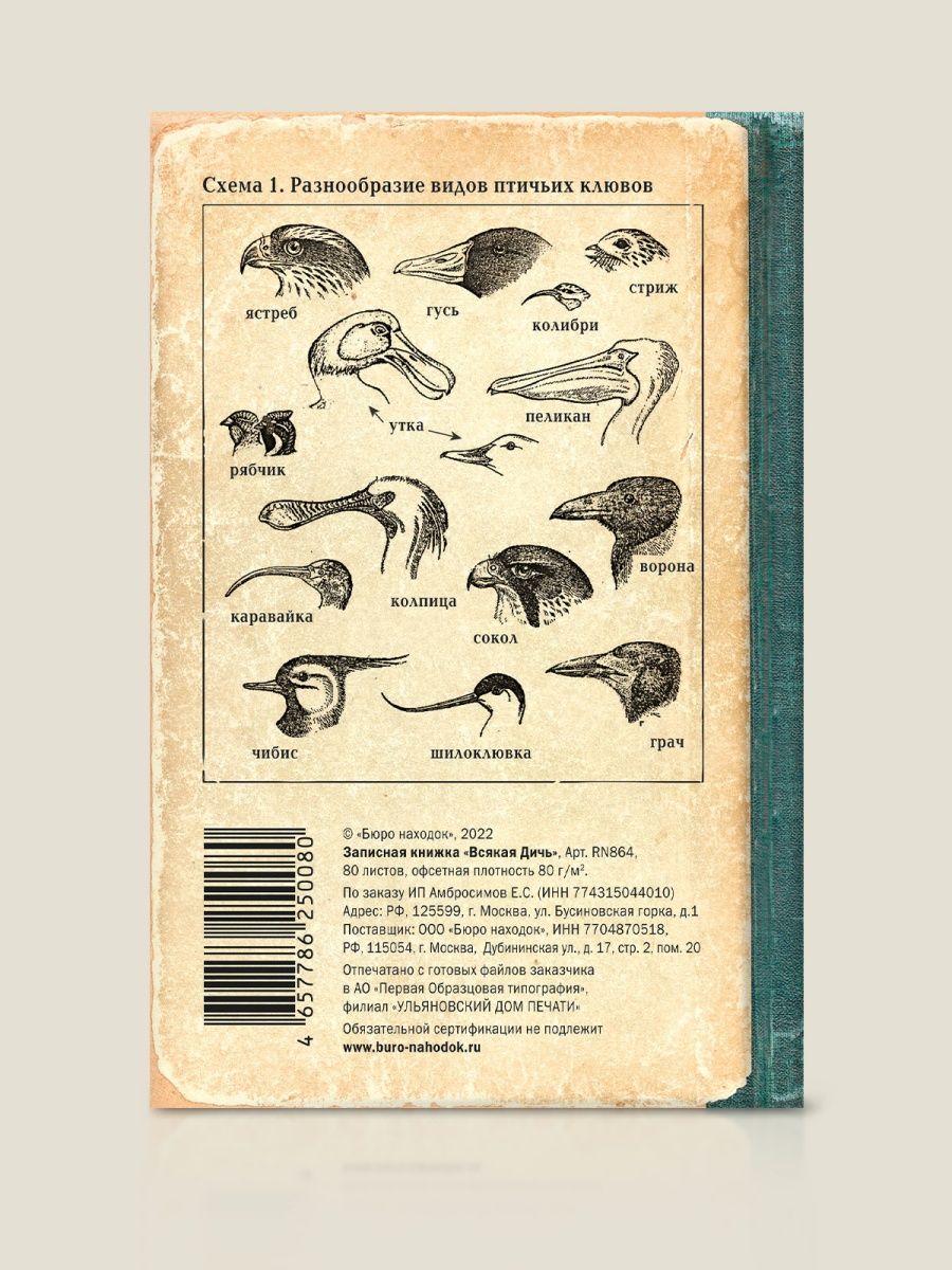 Записная книжка Всякая дичь