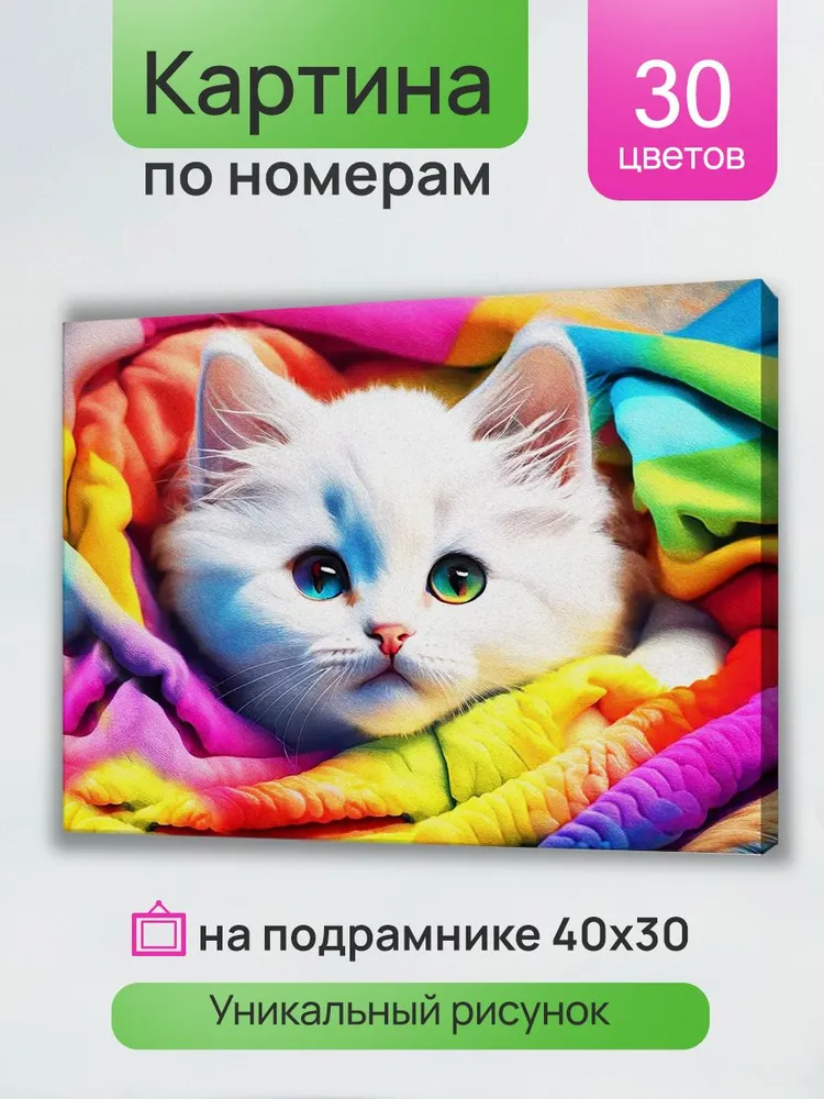 Картина по номерам Разноцветное настроение 30х40