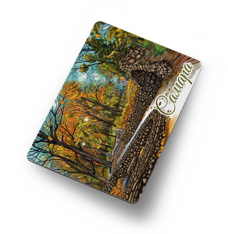 Магнит Самара Струковский сад (винил)