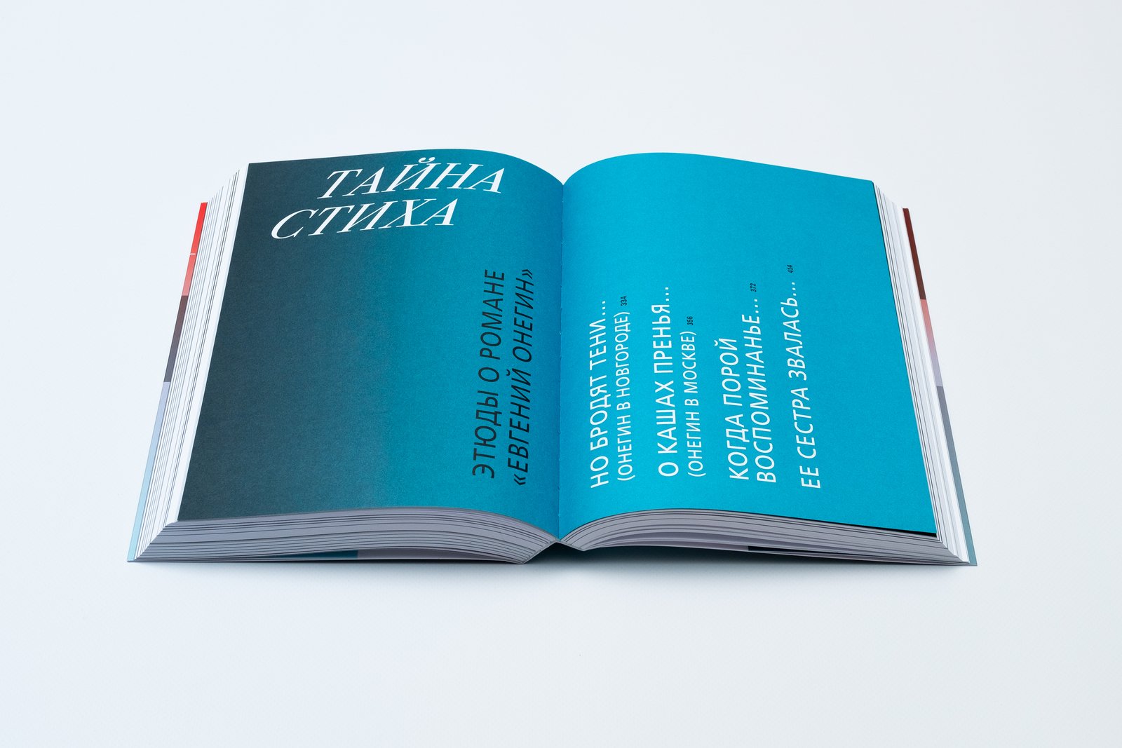 Этюды об Эйзенштейне и Пушкине