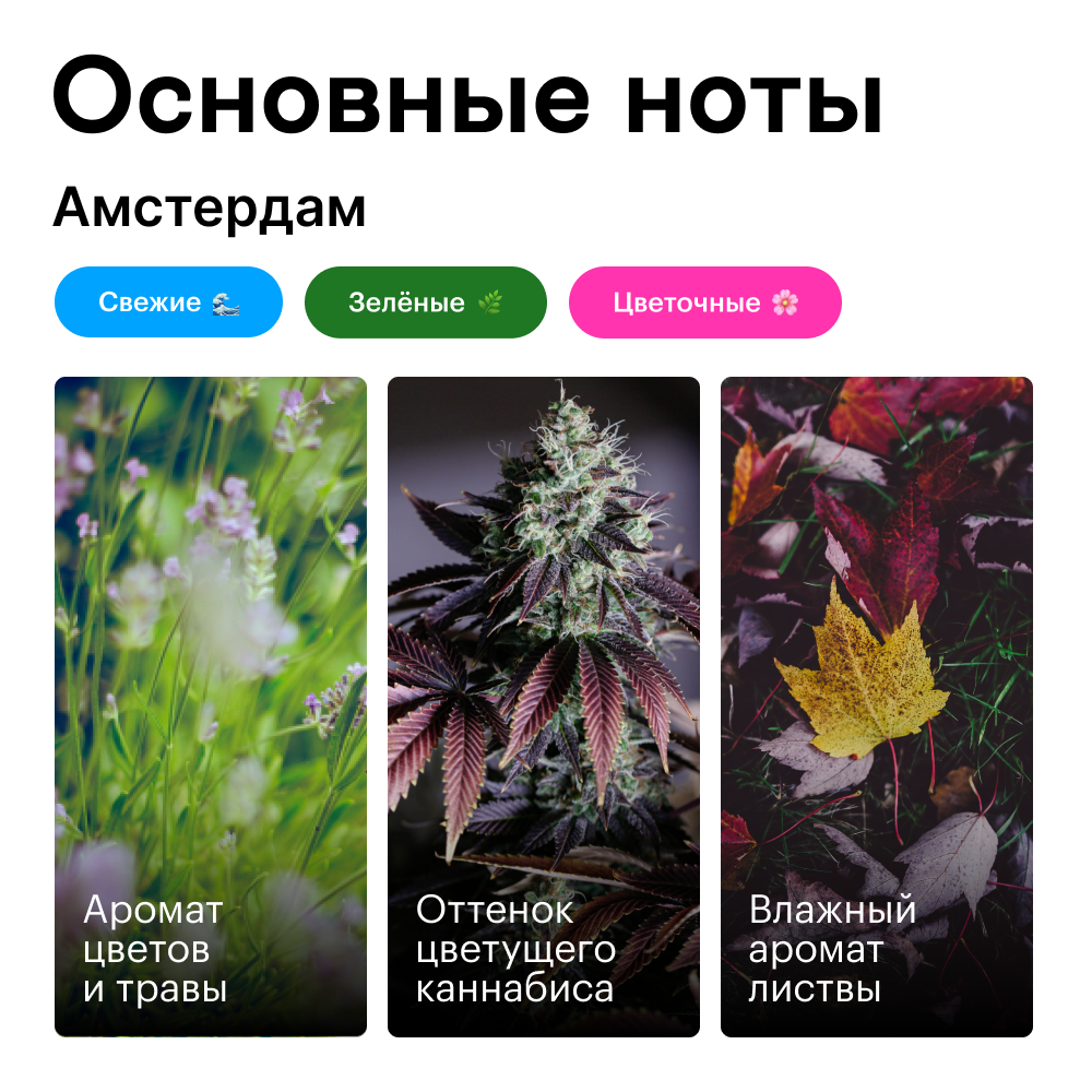 Духи роллербол Амстердам 10 мл.