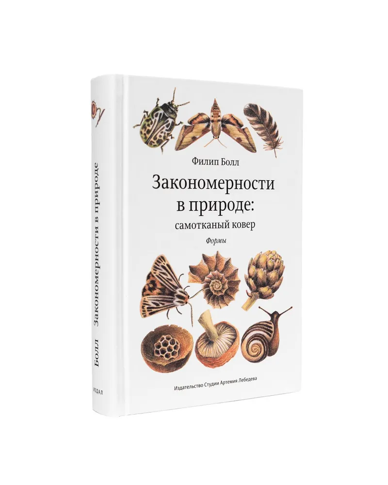 Закономерности в природе: самотканый ковер. Формы