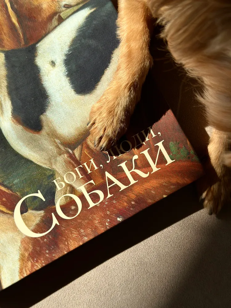Боги, люди, собаки