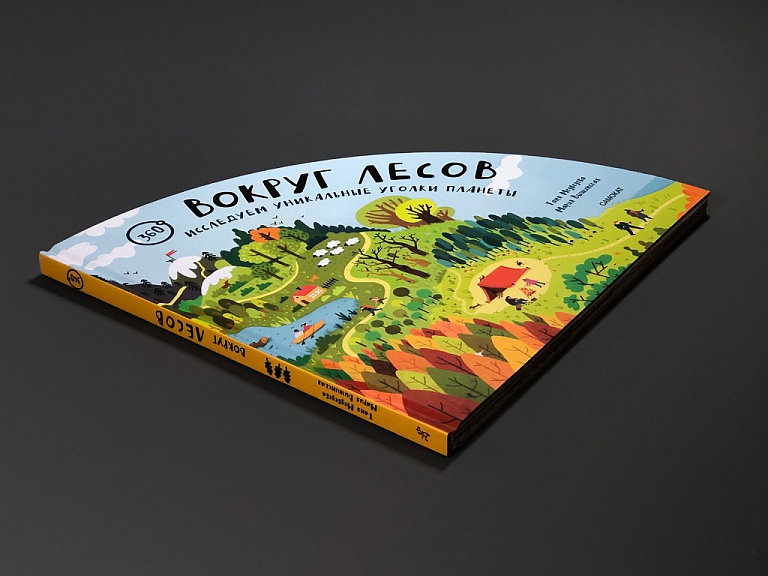 Вокруг лесов: исследуем уникальные уголки планеты