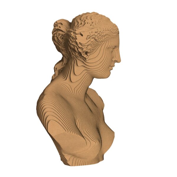 3D конструктор Венера