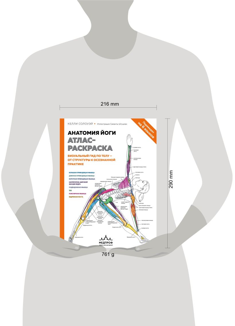 Анатомия йоги: атлас-раскраска. Визуальный гид по телу