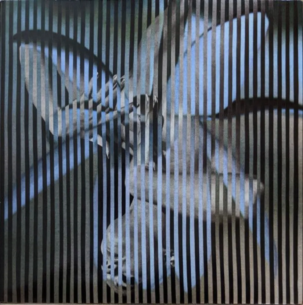 Пластинка Franz Ferdinand - Always Ascending