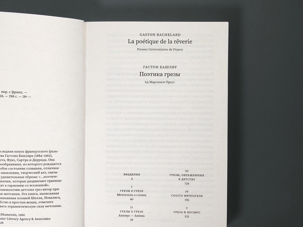 Поэтика грезы