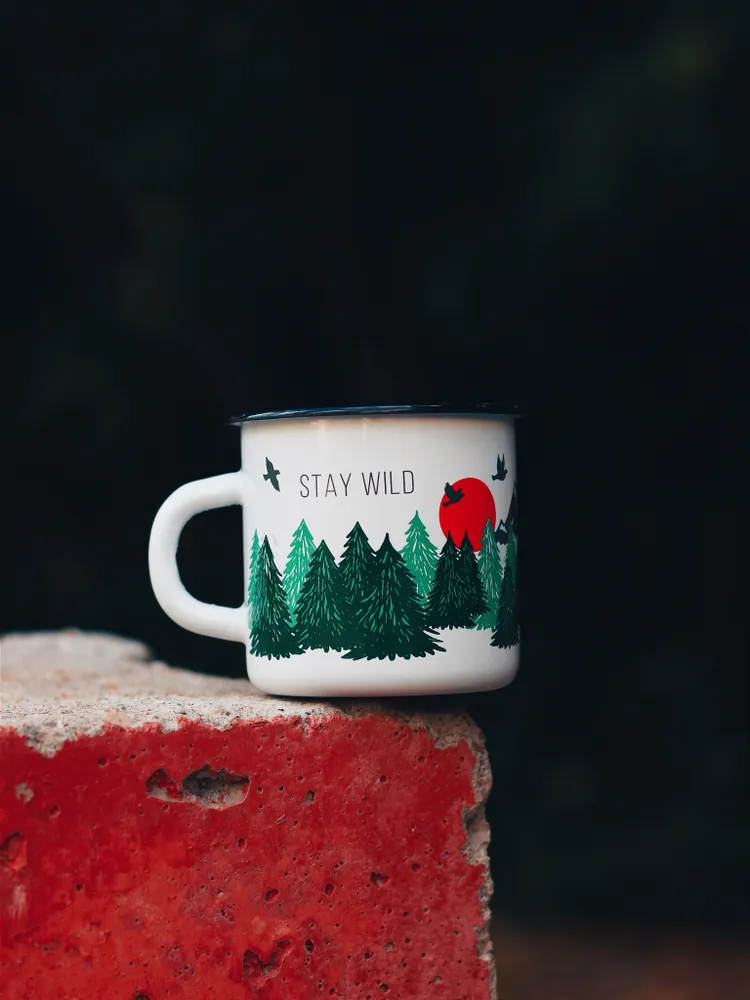Эмалированная кружка Stay Wild (без оплетки)