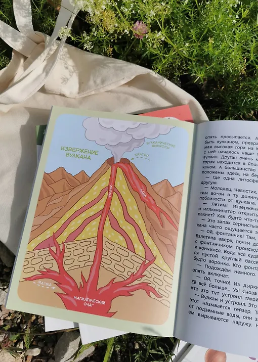 Планета Земля. Детская энциклопедия (Чевостик) (Paperback)