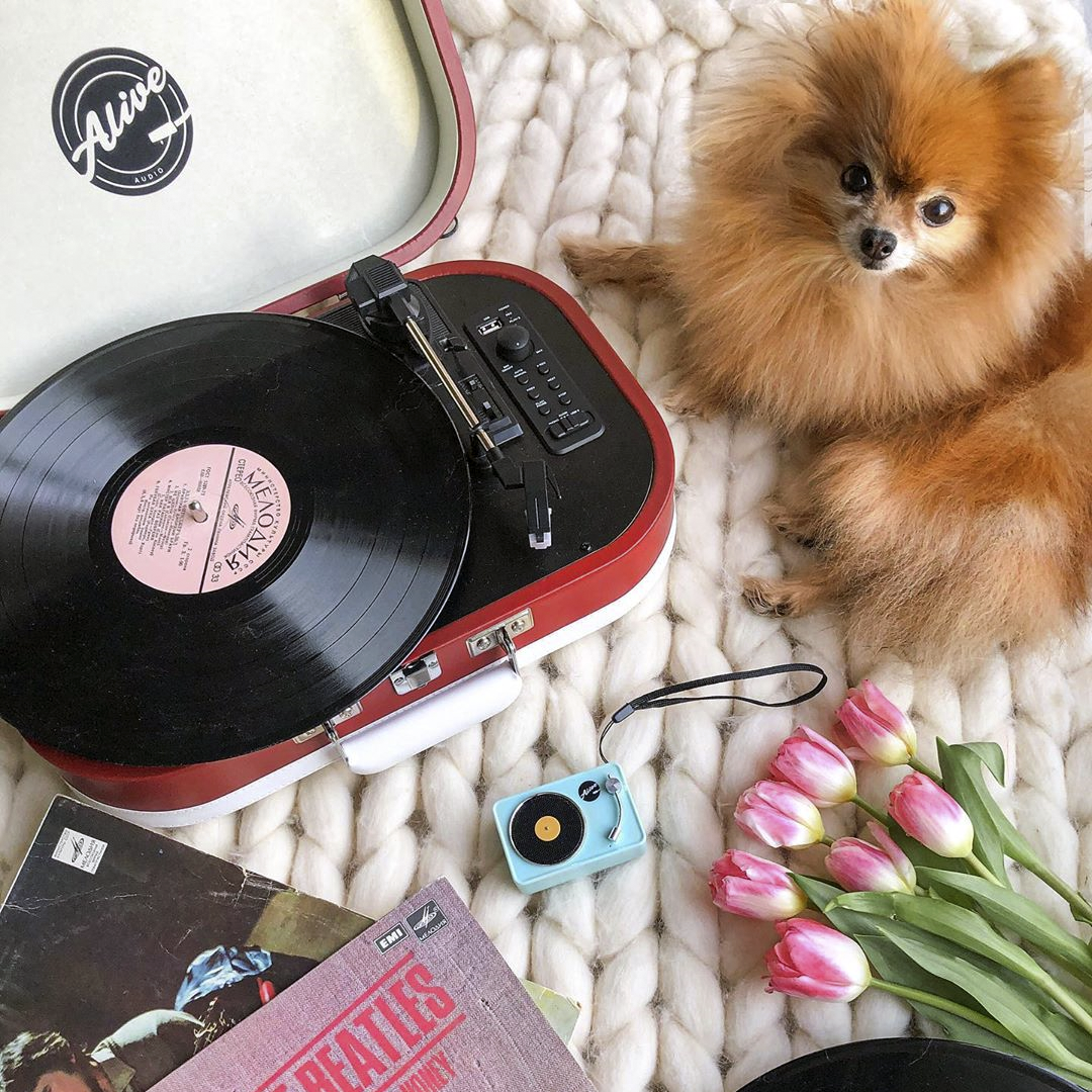 Беспроводная колонка Alive Audio Motive (Free Ride)