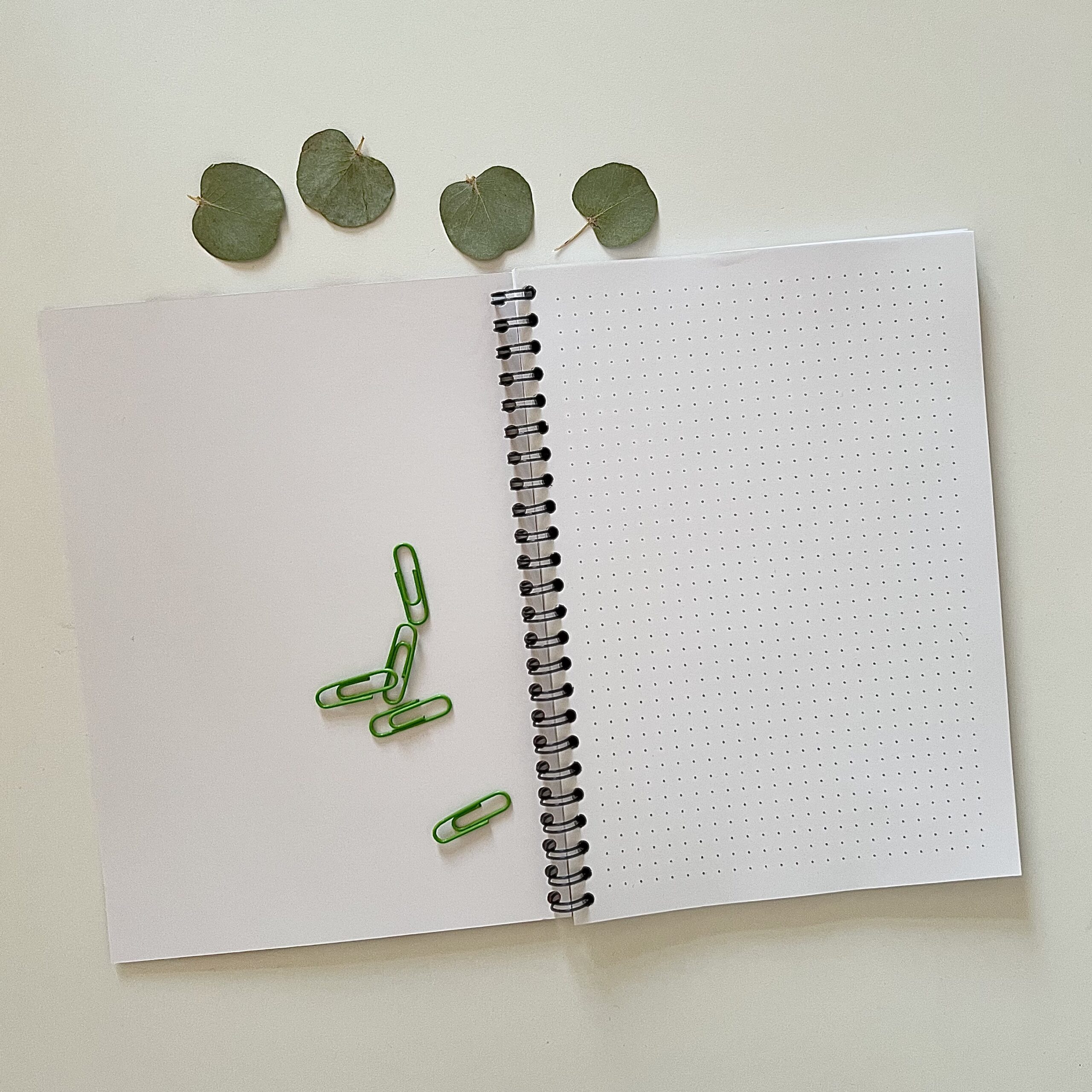 Блокнот в точку Фыр-фыр