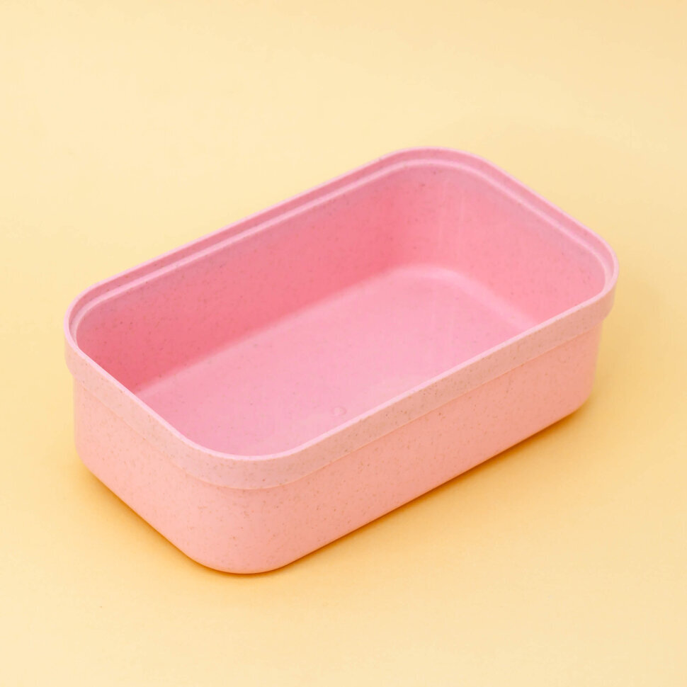 Ланчбокс Spacious (pink)