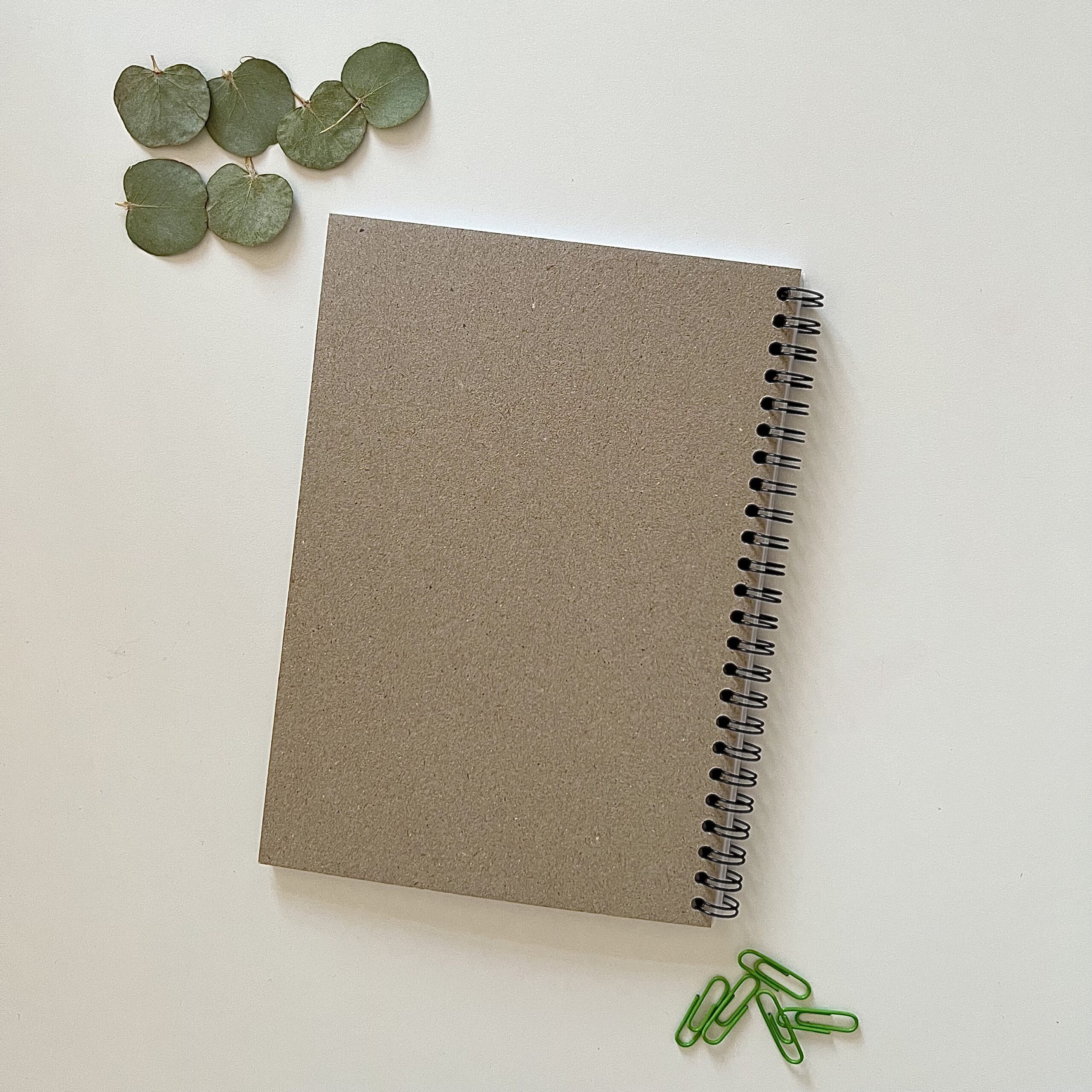 Блокнот в точку Фыр-фыр