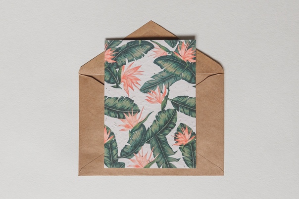 Растущая открытка Стрелиция