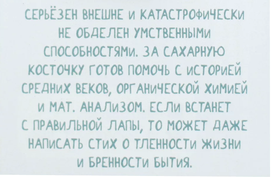 Брошь Мопс Иосиф Виссарионович