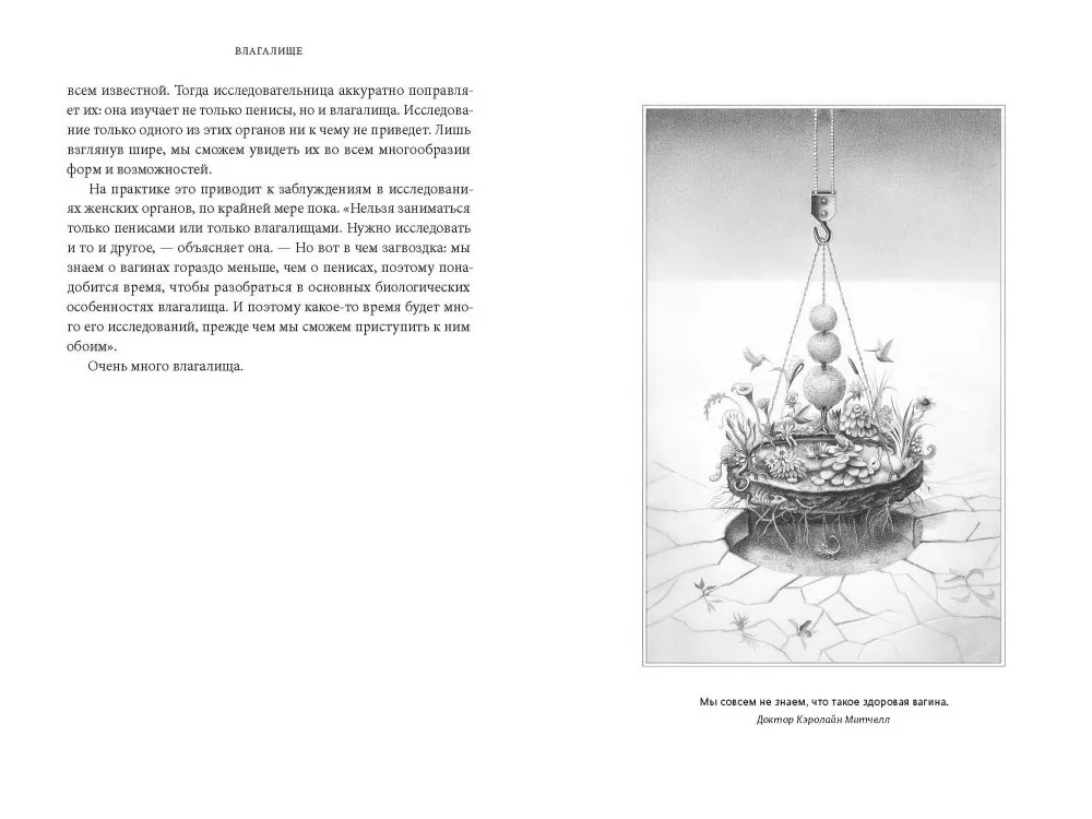 VAGINA OBSCURA. Анатомическое путешествие по женскому телу