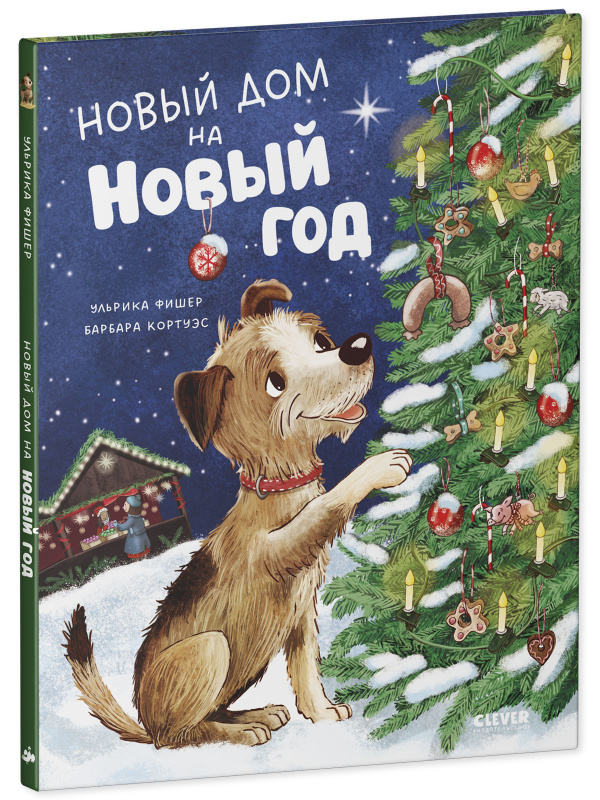 Новый дом на новый год