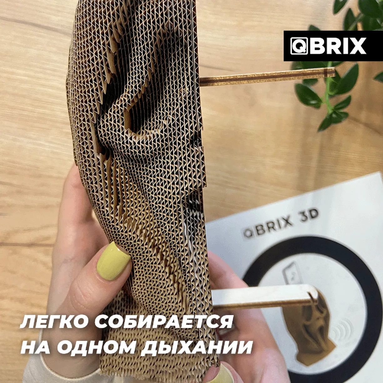 Картонный 3D конструктор Qbrix - Крик души