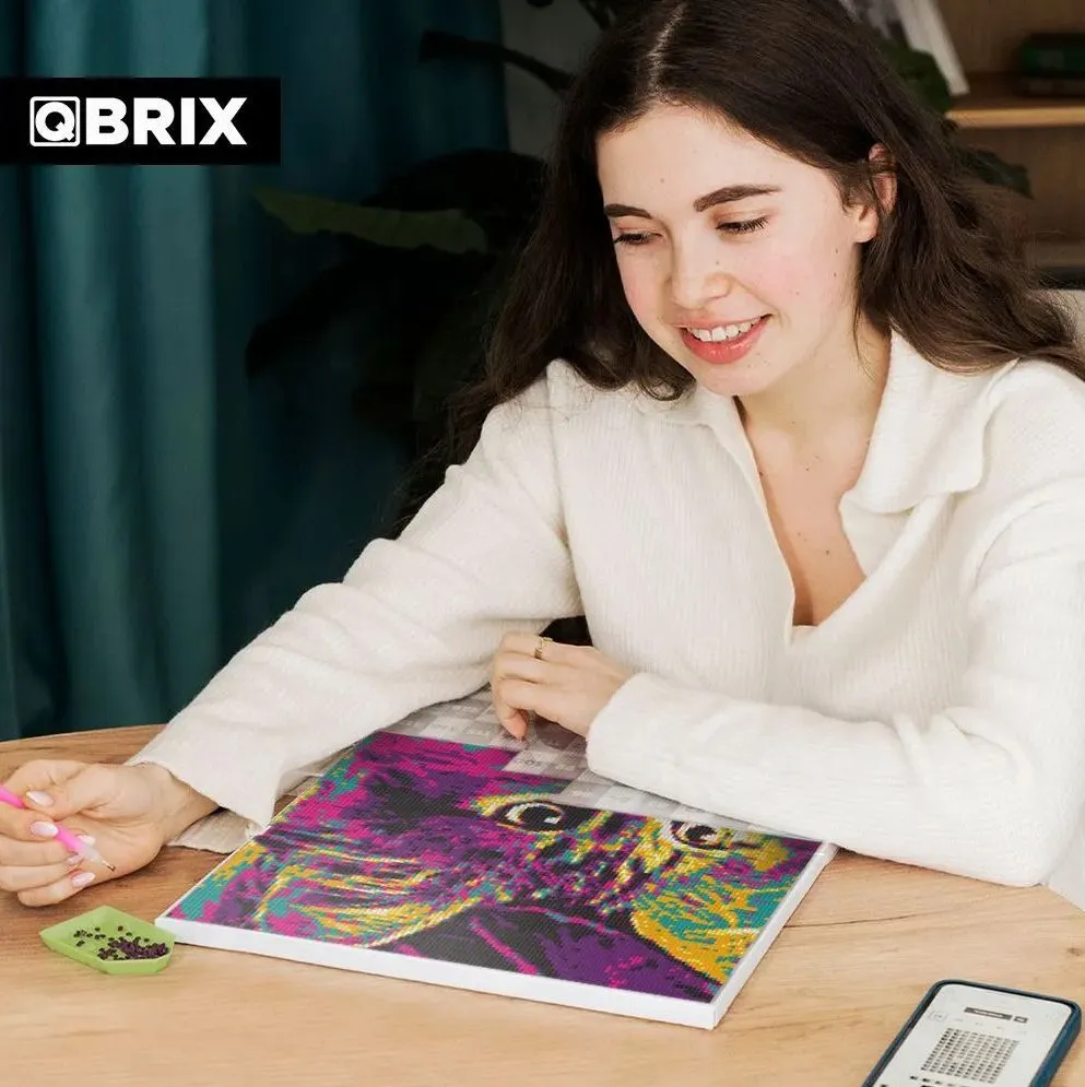 Алмазная мозаика на подрамнике Pop-art А3