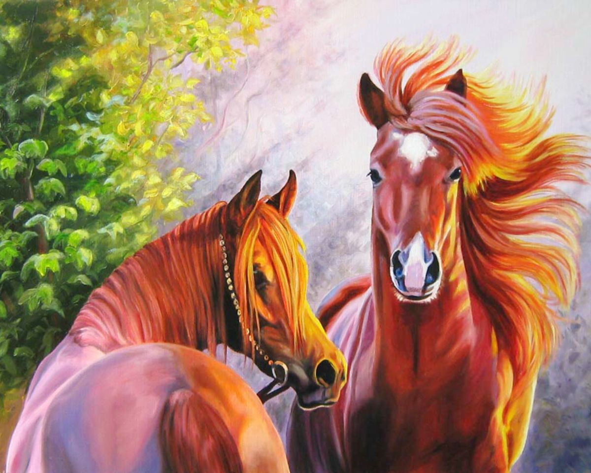 Картина по номерам 40х50 Лошади (VA-2724)