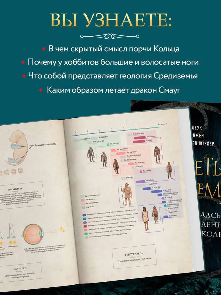 Секреты Средиземья. Как появилась культовая вселенная Властелина колец