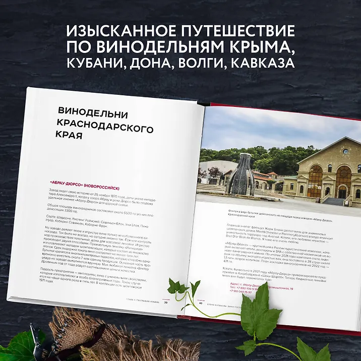 Вино России. История, география, выбор