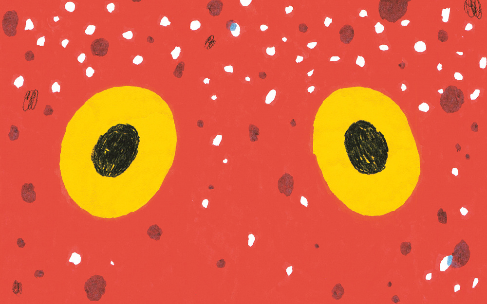 У осьминога ноль костей