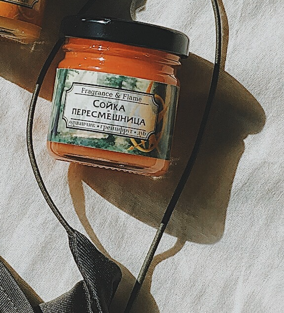 Ароматическая свеча Сойка-пересмешница 40 мл.