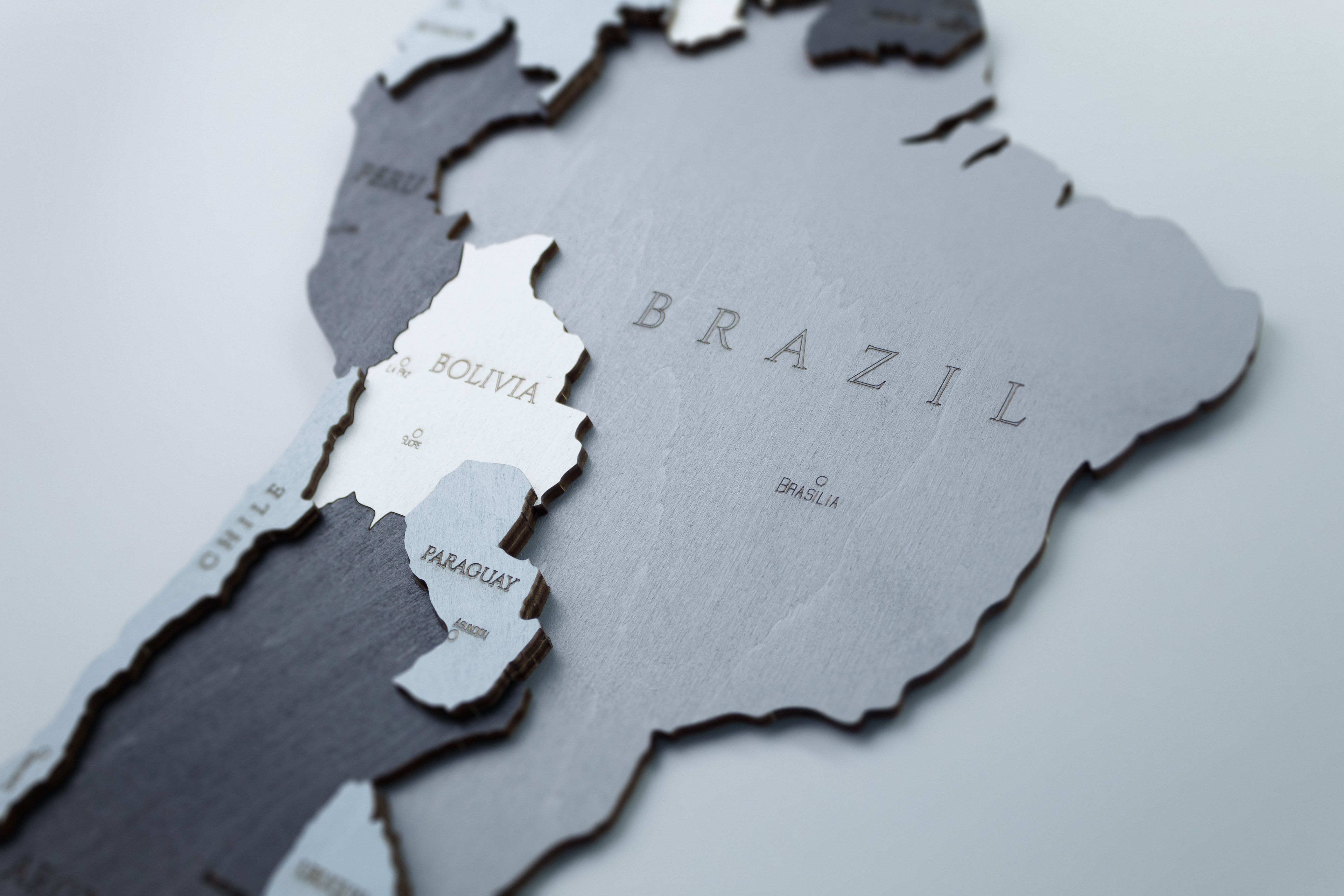 Образец Деревянная Карта Мира настенная EWA (дымчатый) S 