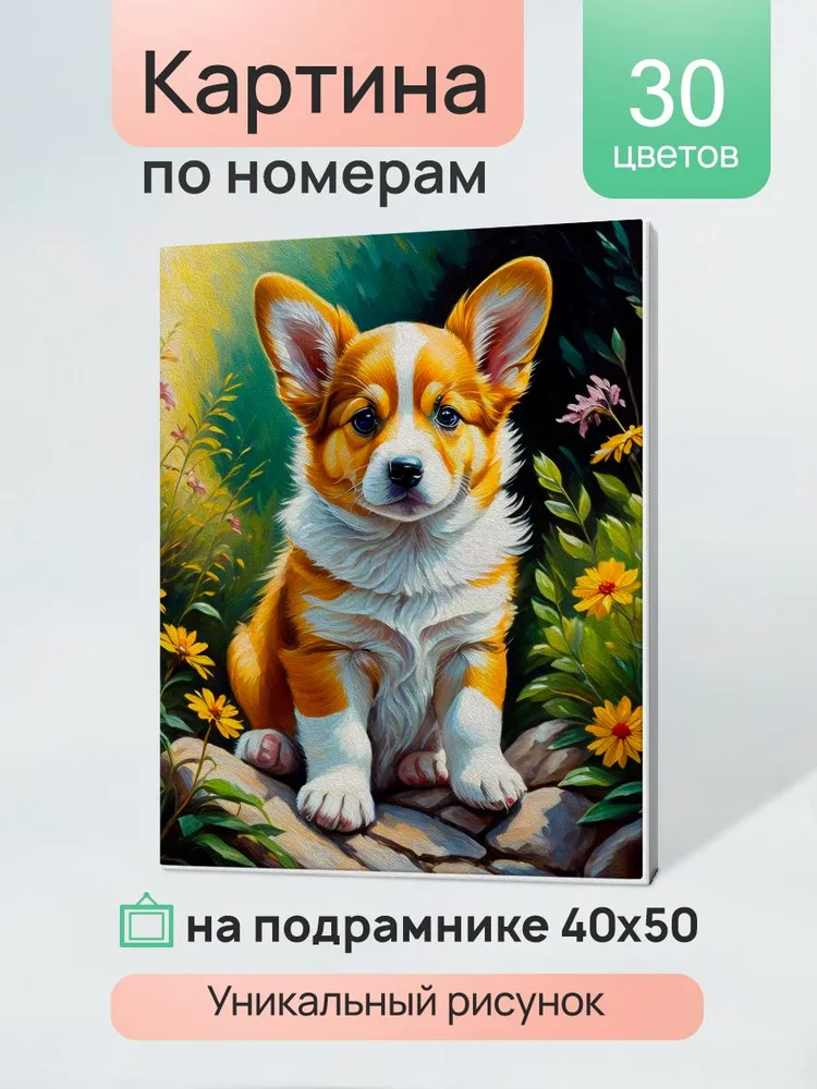 Картина по номерам Щенок корги 40х50