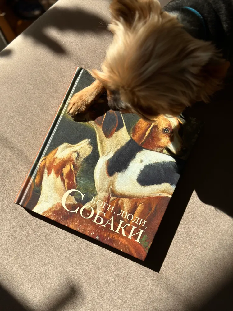 Боги, люди, собаки