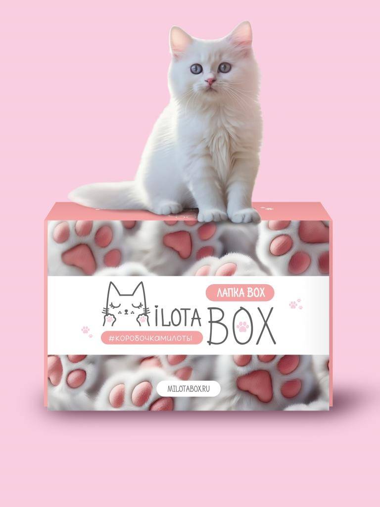Подарочный бокс MilotaBox Лапка Box