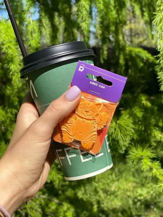 Шоколадная фигура Нэко Сан